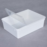 BraPlast Pudełko Pojemnik Hodowlany 10szt 25x19x7,5 cm 3 L BIAŁY z Klapą i wentylacją