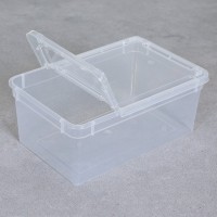 BraPlast Pudełko Pojemnik Hodowlany 19x12,5x7,5 cm 1,3 L  PRZEZROCZYSTY z Klapą i wentylacją