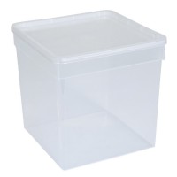 BraPlast Pudełko Pojemnik Hodowlany 19x19x19 cm 5,8 L Transparent