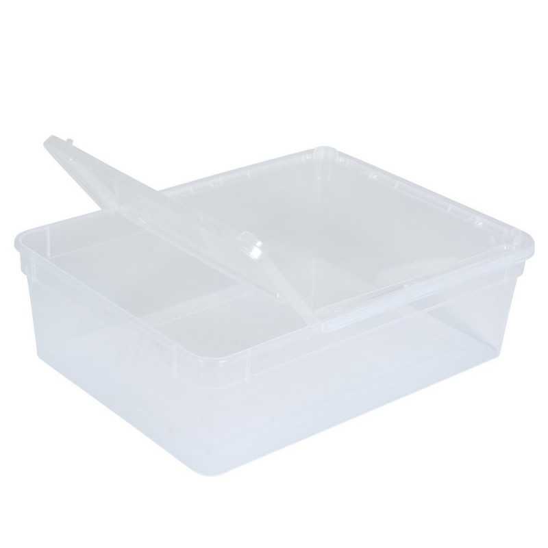 BraPlast Breeding Box 10pcs 25x19x7,5cm 3L TRANSPARENT - Container with a flap and ventilation
