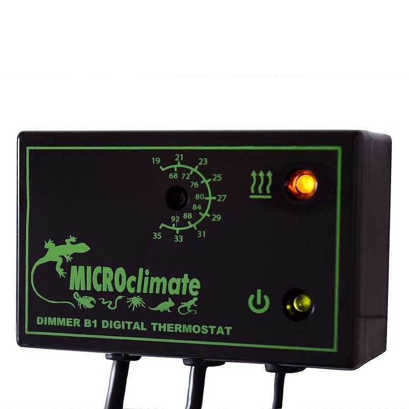 Digital Temperature Controller Thermostat For Reptile Incubator Greenhouse  AquariumUS Plug 110V