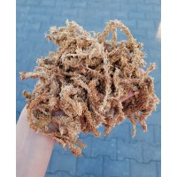 Sphagnum Peat Moss 250g -...