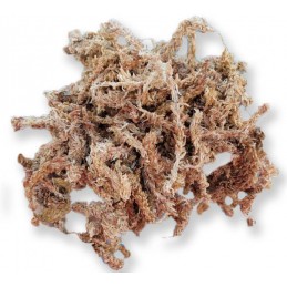 Sphagnum Peat Moss 4,5kg -...
