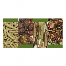 TORTOISE MIX - Complete Food for Tortoises 500g