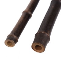 Tyczka bambusowa - bambus do terrarium 50, 100, 150cm