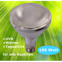 REPTILES EXPERT - UVB MH 100W lamp