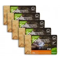 Besgrow Spagmoss 500g 40L Nowozelandzki Mech Torfowiec do Storczyków do Roślin 5x100g