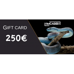 Karta Podarunkowa 250 euro