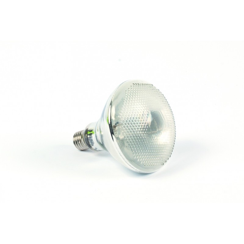 Heating Bulb and Baskin Lamps for Terrariums - Imcages.com