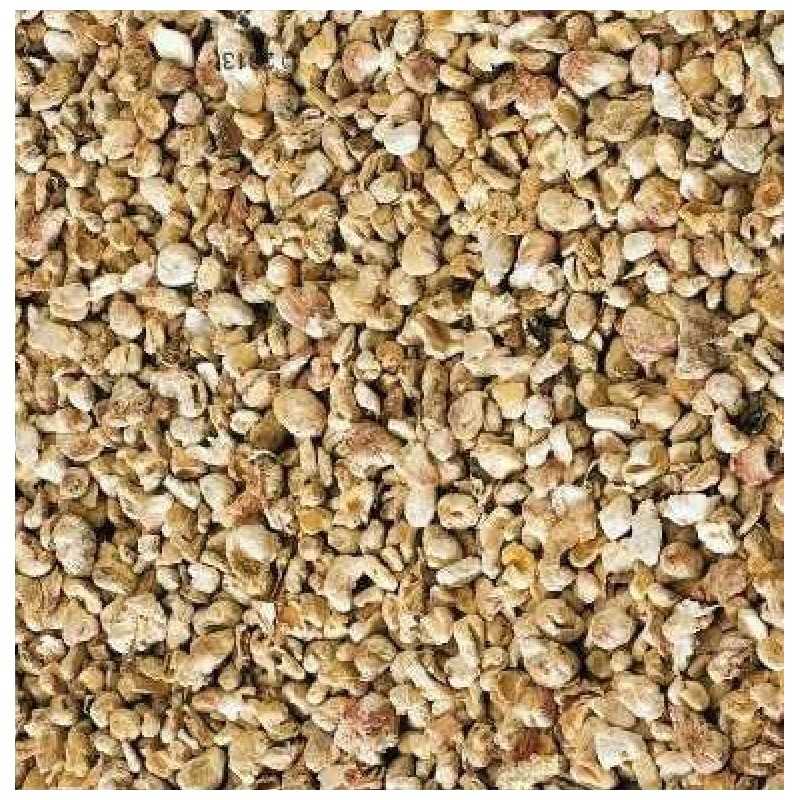 Corn Substrate for Bearded Dragons| IMCAGES Natural Granulate bedding